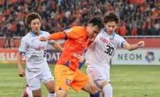 关于川崎前锋力克大连阿尔滨，捍卫主场荣耀的信息